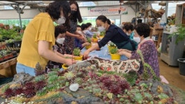 오늘의뉴스 게시판(상세보기)