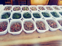 오늘의 뉴스 게시판(상세보기)