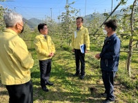 오늘의 뉴스 게시판(상세보기)
