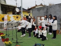 사진마당 게시판(상세보기)