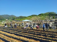 사진마당 게시판(상세보기)