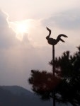 능강솟대문화공간 < 자연/생태 < 관광정보 < 머물고 싶은 자연치유도시 제천 머물고 싶은 자연치유도시 제천