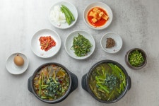 관광호텔 < 여행정보 < 여행서비스 < 머물고 싶은 자연치유도시 제천 머물고 싶은 자연치유도시 제천