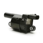 Delphi GN10165: Ignition Coil - JEGS High Performance