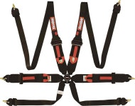 RaceQuip 854004 6-Point FIA Race Harness - JEGS High Performance RaceQuip 854004: RaceQuip FIA Certified 6-Point Camlock Safety... 