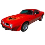Phoenix Graphix 7378LGRN: Looping Style Trans Am Kit for 1973-1977 Pontiac Firebird Trans Am - JEGS High Performance