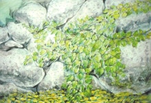 어울림 - 제주특별자치도 문화예술진흥원 어울림  | 제주특별자치도청