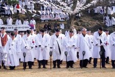 조천만세대행진 (사진) - 제주특별자치도 조천만세대행진 (사진) | 제주특별자치도청