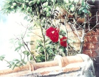 10회 - 갤러리 - 제주특별자치도 문화예술진흥원 제주특별자치도