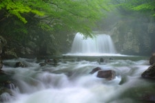 한라산 - 세계자연유산제주 한라산 | 제주특별자치도청