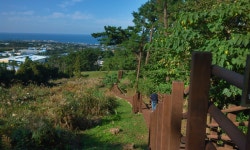 토성 가는 길1 - 제주항파두리유적 제주특별자치도