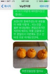 vip한라봉의 어처구니 없는 답변 - 제주특별자치도 제주특별자치도