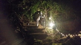 환상단편 야외 영화제 - 제주의 마을 남원읍 하례1리