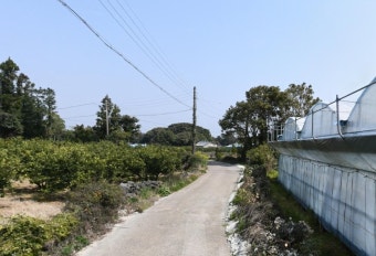 오일장신문닷컴