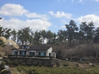 오일장신문