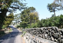 오일장신문닷컴