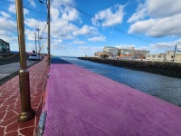 탐나공인중개사 탐나공인중개사 