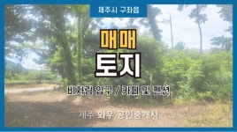 제주와우공인중개사사무소