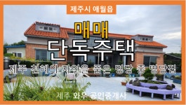 제주와우공인중개사사무소