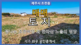 제주와우공인중개사사무소