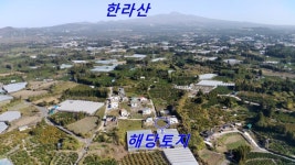 제주고대표공인중개사사무소