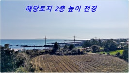 제주고대표공인중개사사무소