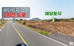 제주고대표공인중개사사무소
