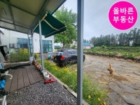 오일장신문
