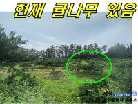 오일장신문