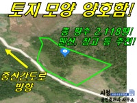 오일장신문닷컴