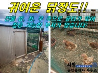 오일장신문