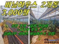 오일장신문