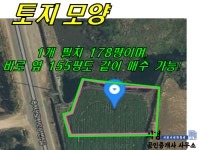 오일장신문