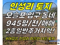 시청공인중개사