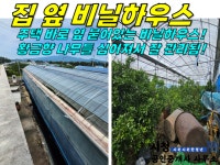 오일장신문