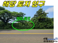 오일장신문