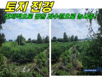오일장신문