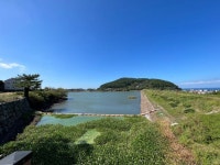 오일장신문