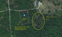 오일장신문