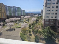 오일장신문