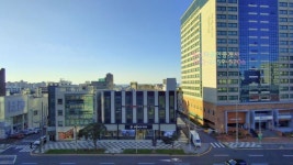 빅스타공인중개사사무소