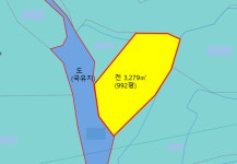 김상희공인중개사사무소봄봄