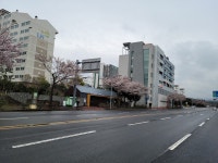 오일장신문