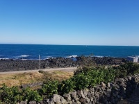 제주도담공인중개사