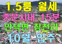 오일장신문