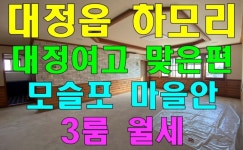 오일장신문