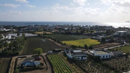 마음의부동산(공인중개사사무소)