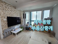 제주몽땅부동산중개사무소