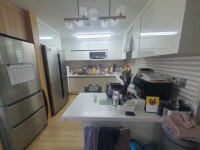 청춘공인중개사