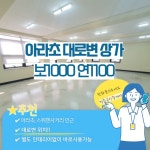 청춘공인중개사